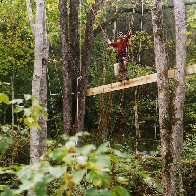 Tree house installation